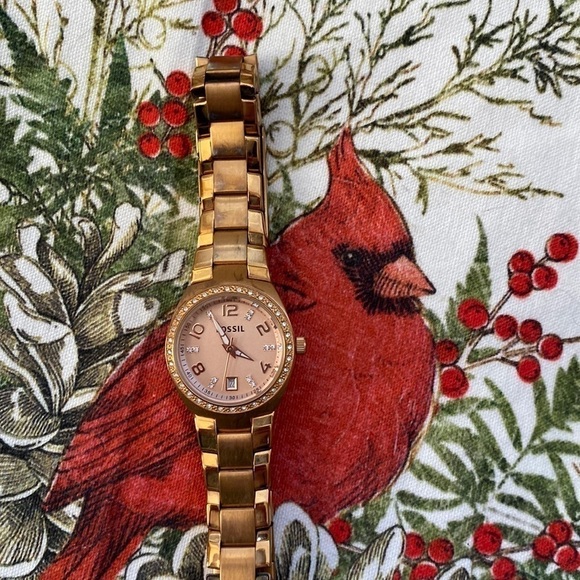 FOSSIL Watch - Picture 1 of 2